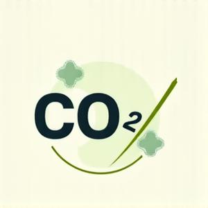 CO2 배출량 연간 1000톤 감소 그래프